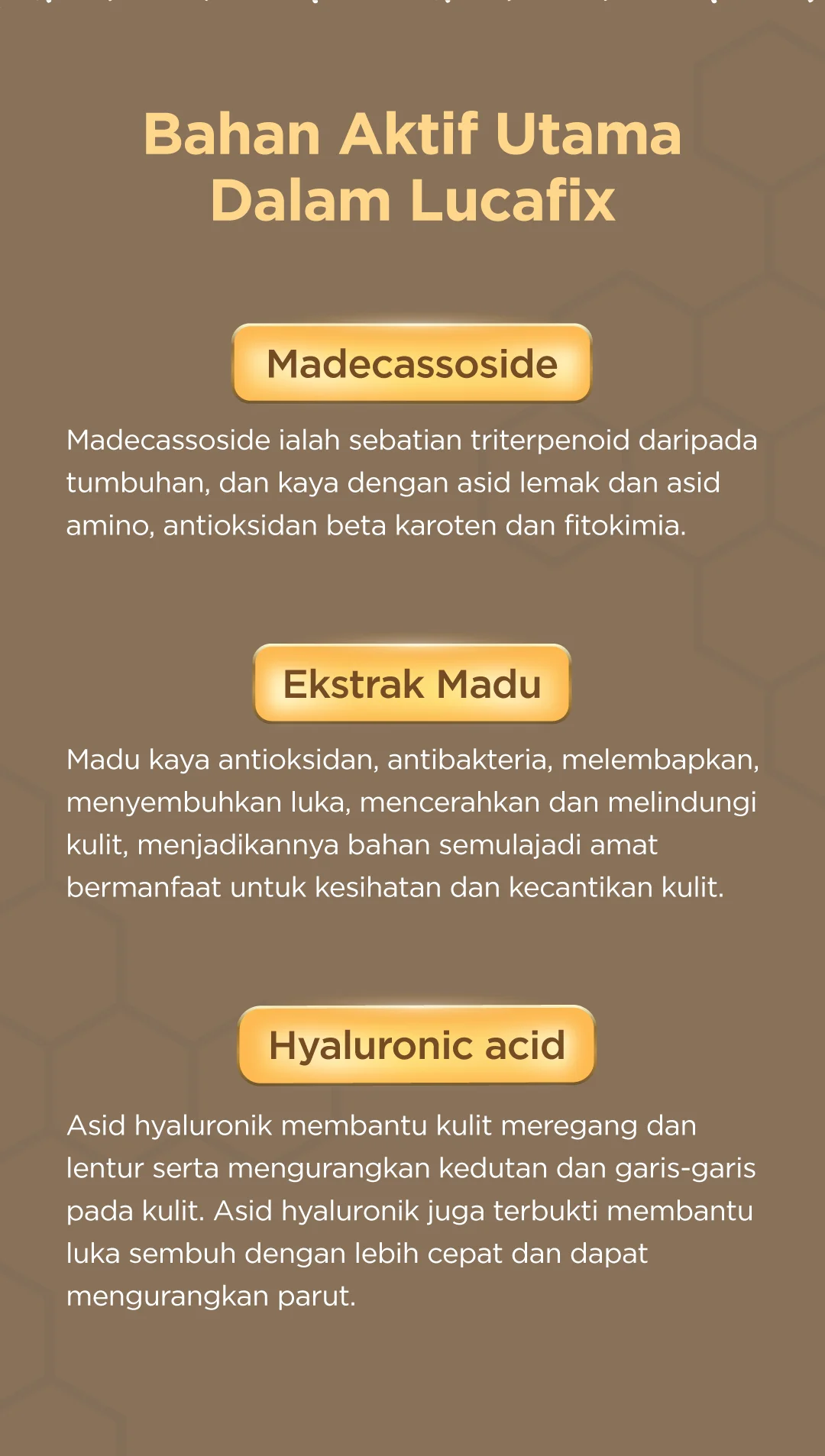 Sales Page Lucafix Kencing manis V2-06